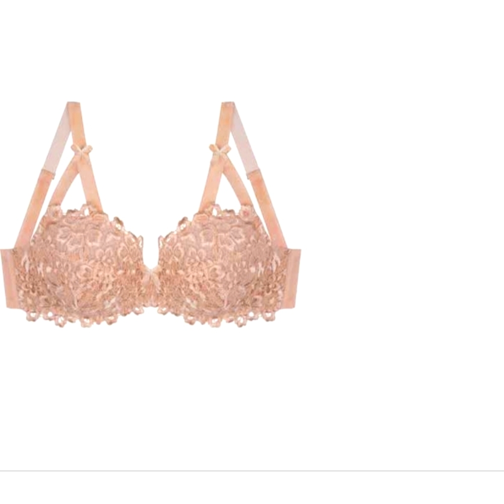 Dita Von Teese Full Figure Lace Bra